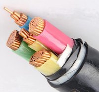 YJV低压电缆样品，选用电缆优先“番禺”老品牌值的信赖