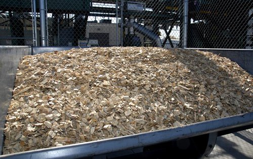 中圣集团将在保加利亚规划建造一座生物质能发电厂